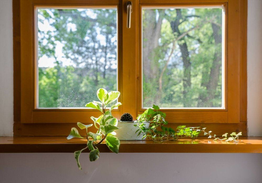 wooden windows